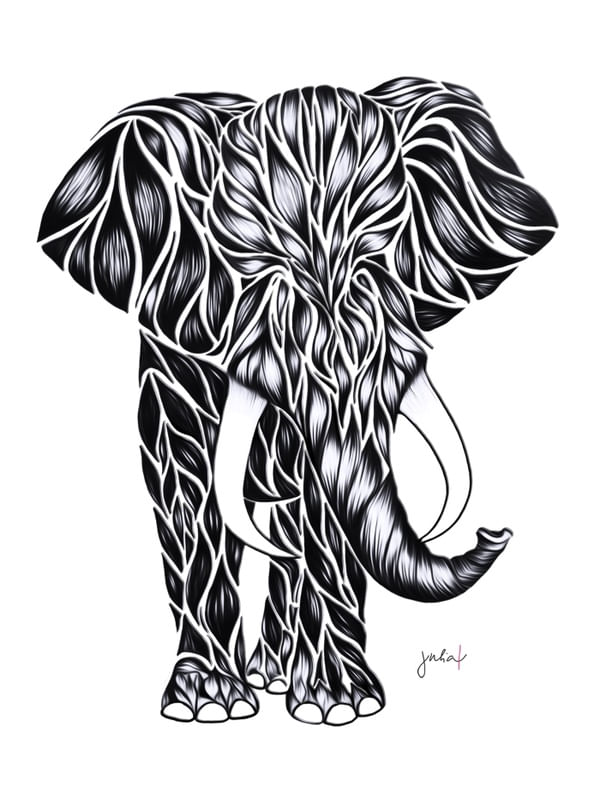 ELEFANTE PB