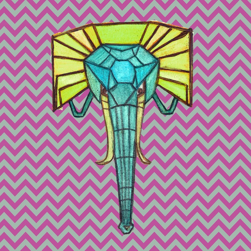 ELEFANTE MISSONI