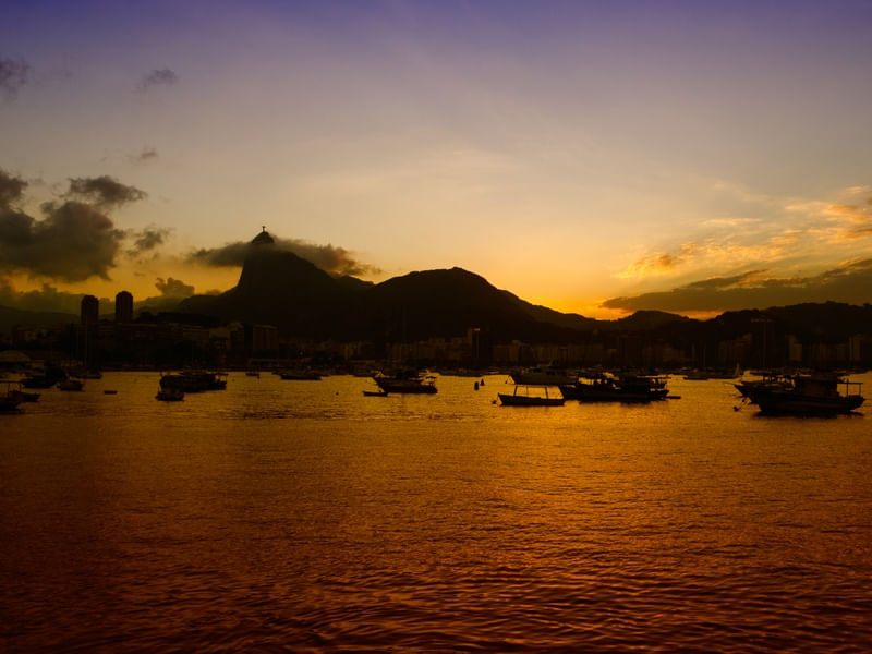 RIO 11
