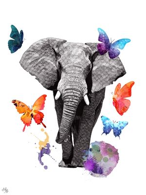 LEVEZA DE UM ELEFANTE