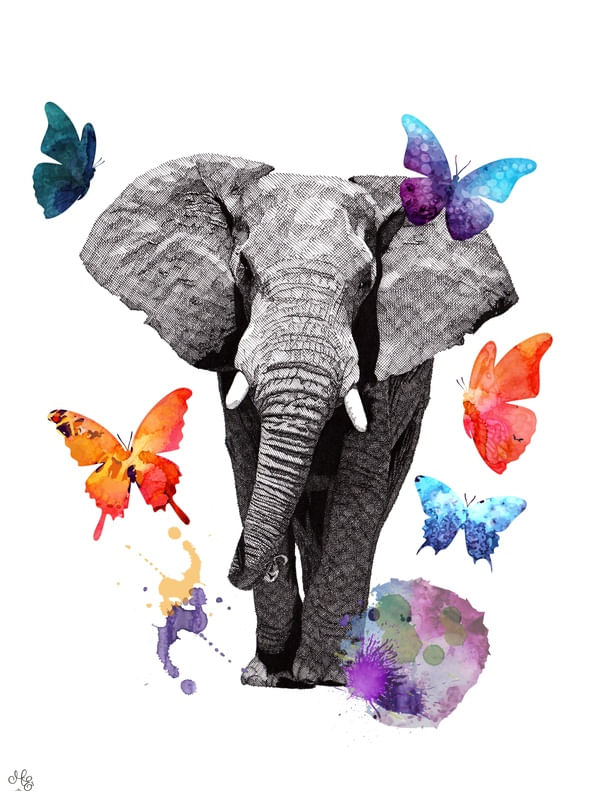 LEVEZA DE UM ELEFANTE