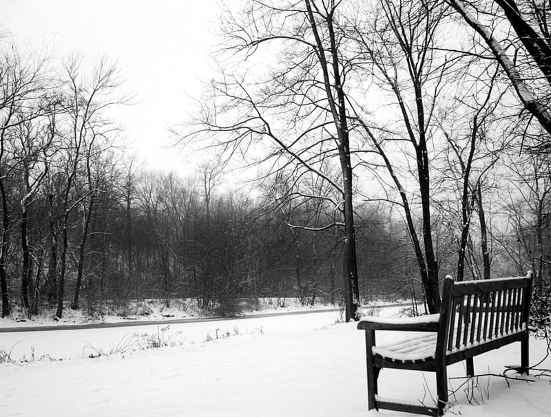 INVERNO NA NEVE