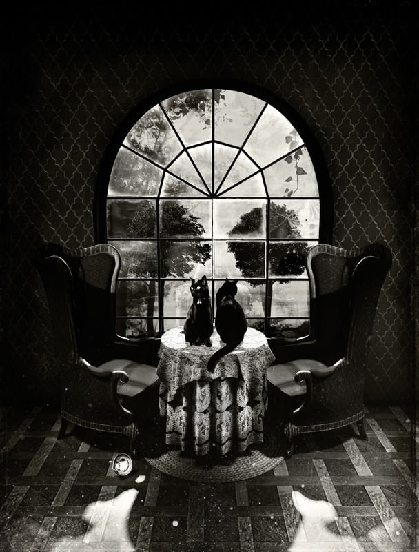ROOM SKULL BW