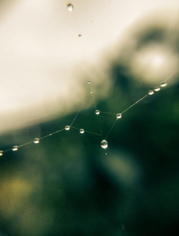 DEPOIS DA CHUVA #3