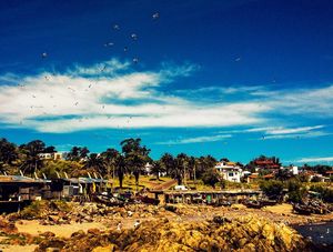PIRIAPOLIS #5