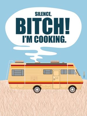 SILENCE, BITCH! BREAKING BAD