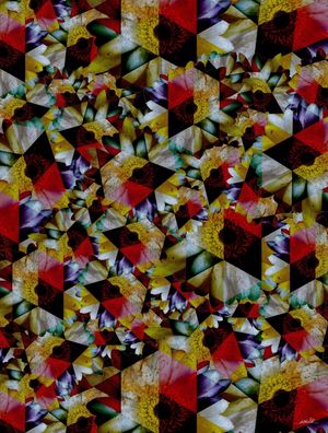 GEOMETRIC FLOWER