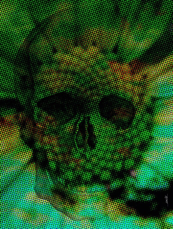 FLOWER SKULL II