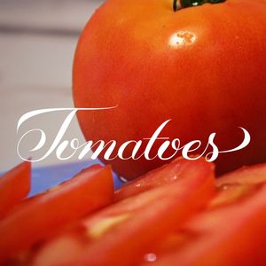 TOMATOES
