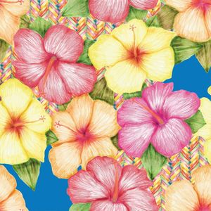PERKY BLUE HIBISCUS