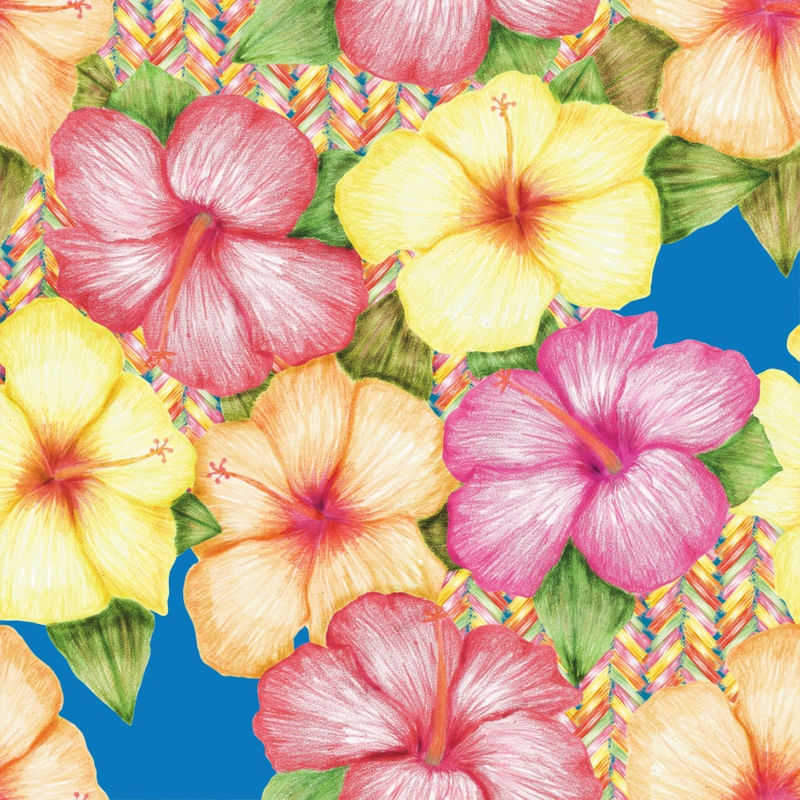 PERKY BLUE HIBISCUS