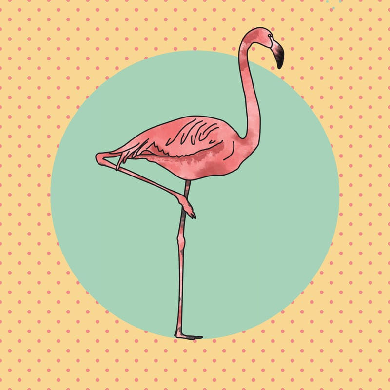 PERKY YELLOW FLAMINGO