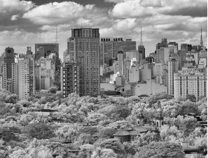 SÃO PAULO - DRAMÁTICO