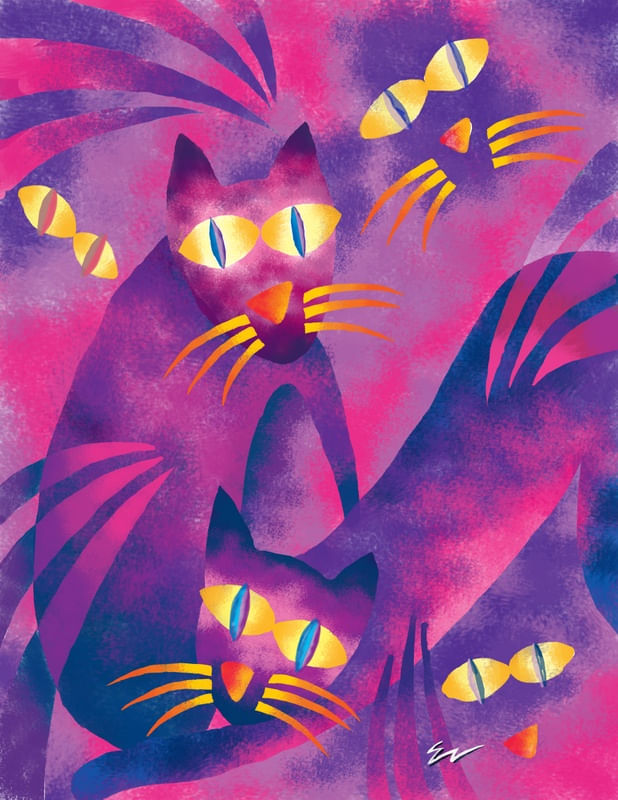 CATS 2