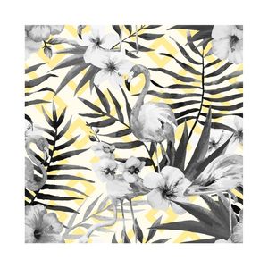 02/03 - TROPICAL COLLECTION
