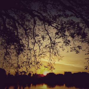SKYLINE IBIRAPUERA