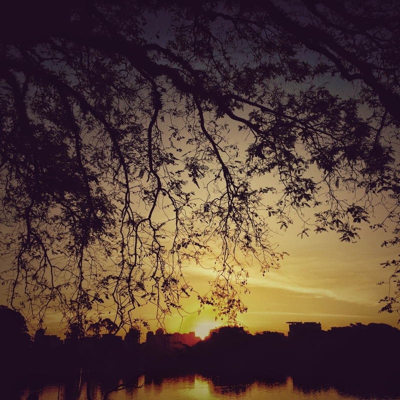 SKYLINE IBIRAPUERA