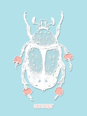 SUMMER BEETLE