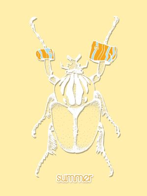 SUMMER BEETLE 2