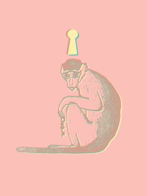 MONKEY II