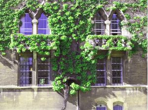 WINDOWS AND COLOUR