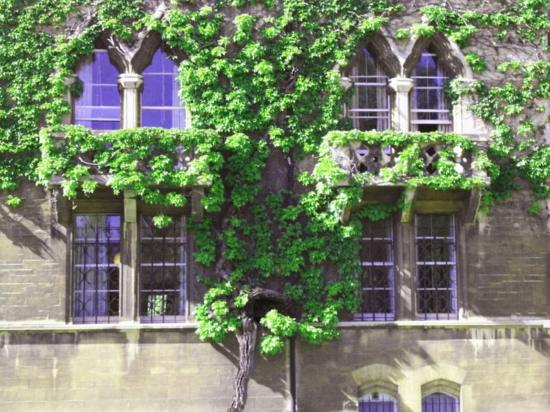 WINDOWS AND COLOUR