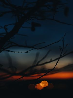 SOMBRAS E REFLEXOS #2