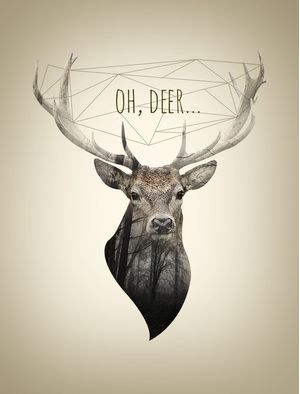 OH DEER II