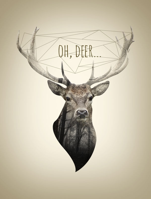 OH DEER II