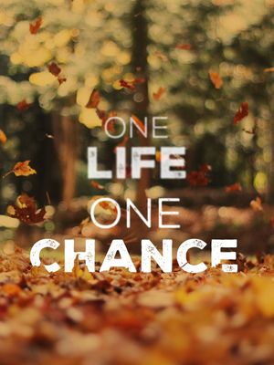 ONE LIFE, ONE CHANCE II