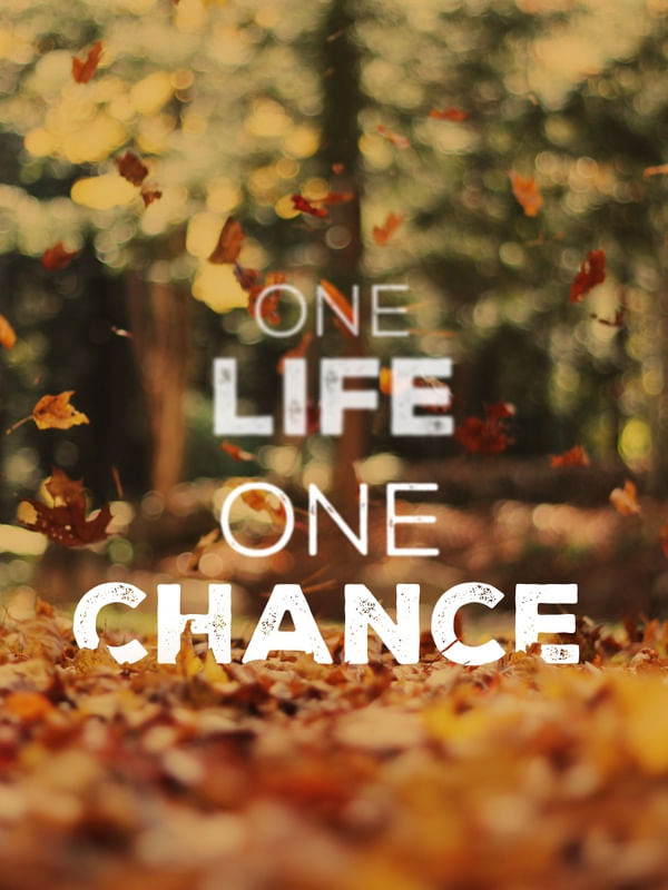 ONE LIFE, ONE CHANCE II
