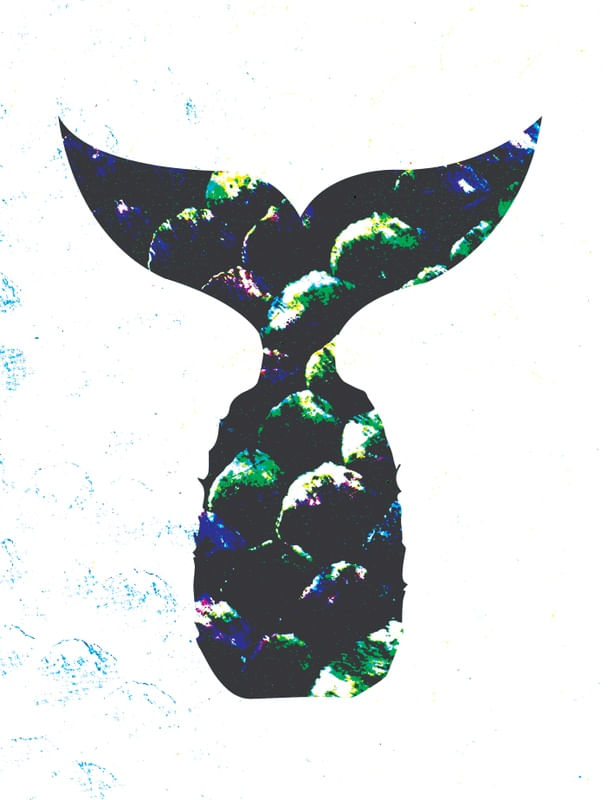 ABACASEA