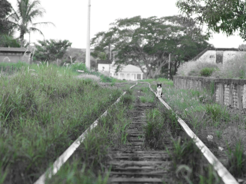 ABANDONO E ESPERANÇA