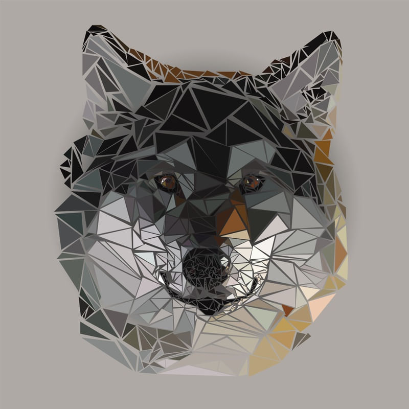 TRIANGLEWOLF