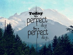A PERFECT DAY