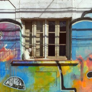 GRAFI(CAT)
