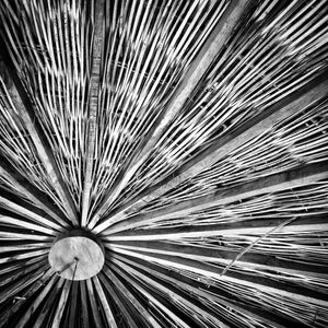 TEXTURA PALHA