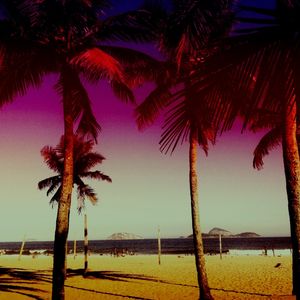 PINK SKY PALMS