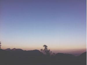 PURPLE HORIZON