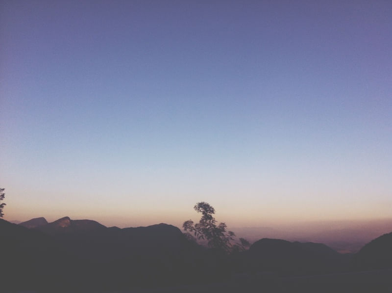 PURPLE HORIZON