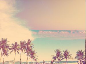 PALMS AND SEA