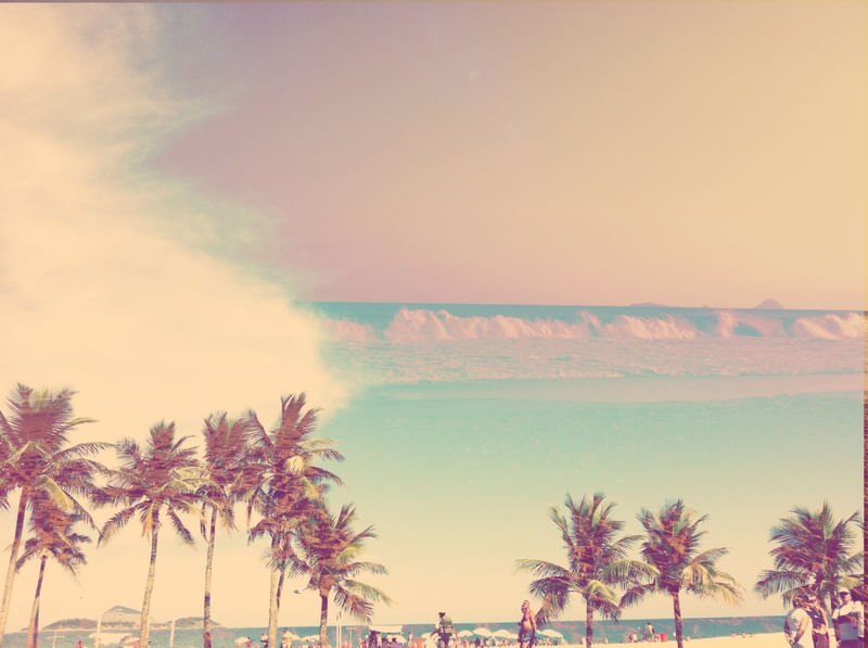 PALMS AND SEA