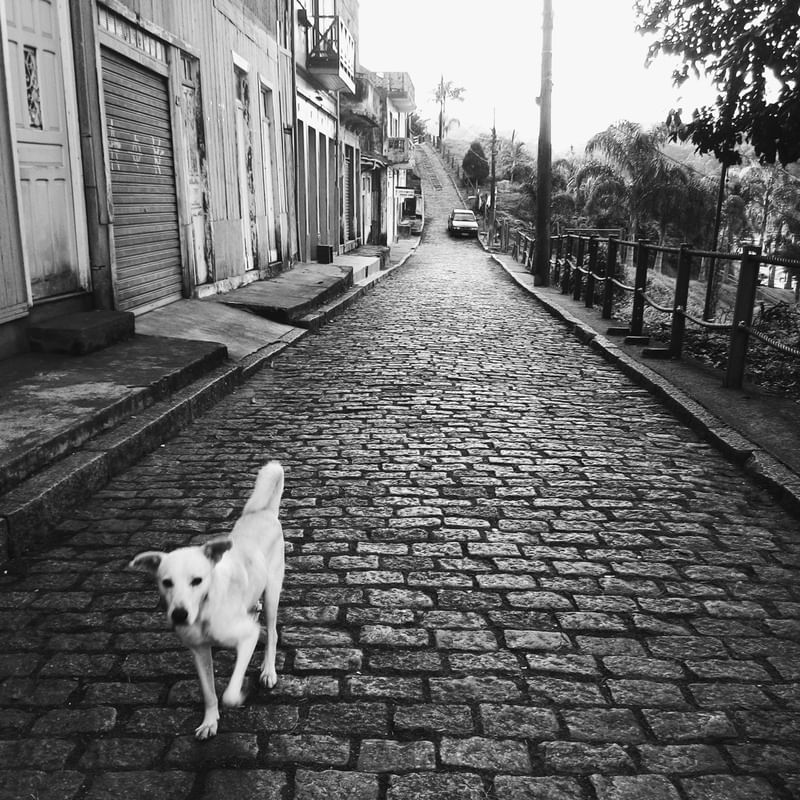 SÉRIE MONOCHROME #21