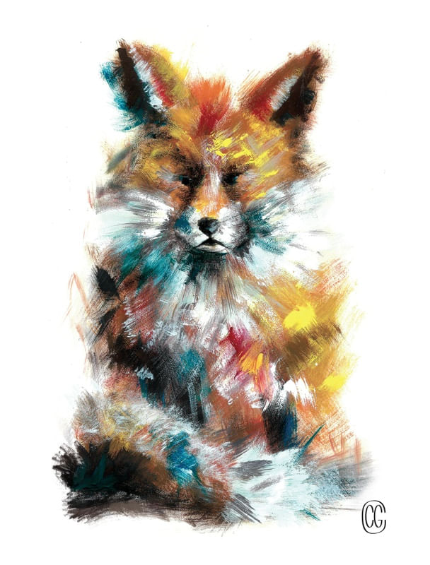 LITTLE FOX