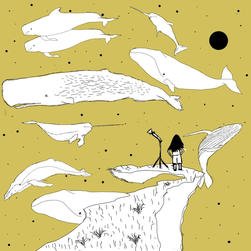 AFTERNOON IN THE SKY