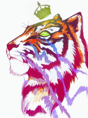 GATO REI