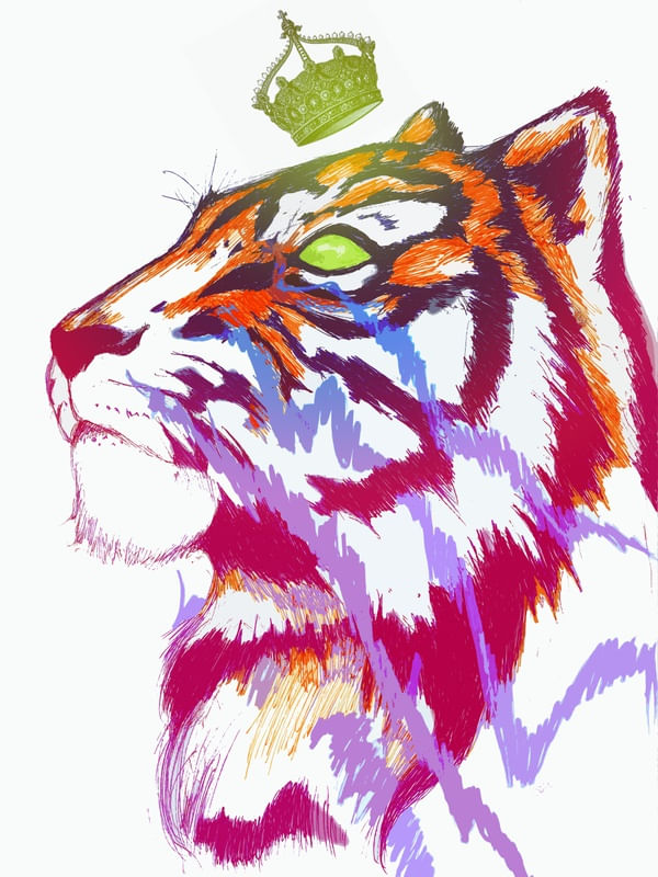 GATO REI