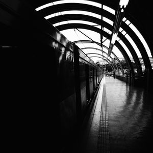 SÉRIE MONOCHROME #33