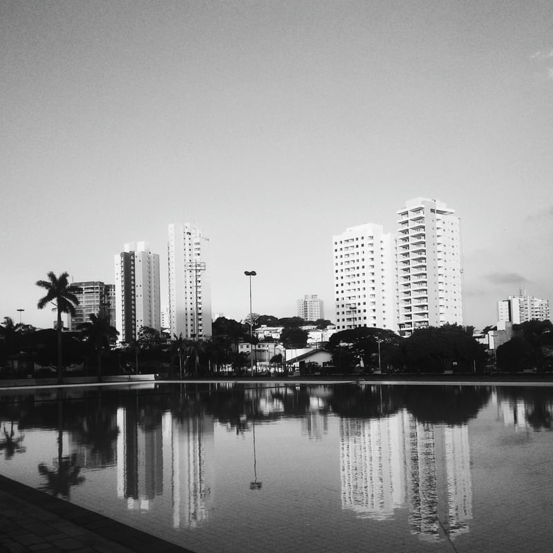 MONOCHROME #37