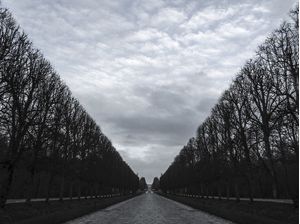 VERSAILLES SKY